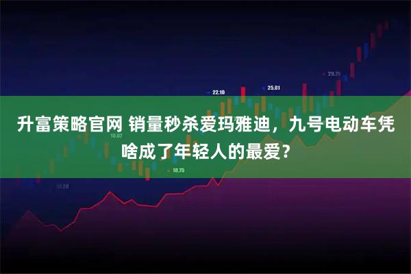 升富策略官网 销量秒杀爱玛雅迪，九号电动车凭啥成了年轻人的最爱？