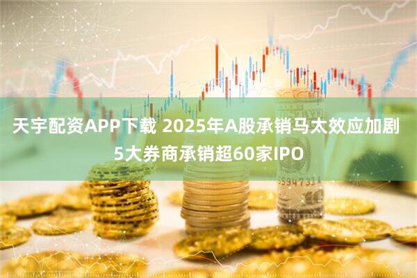 天宇配资APP下载 2025年A股承销马太效应加剧 5大券商承销超60家IPO
