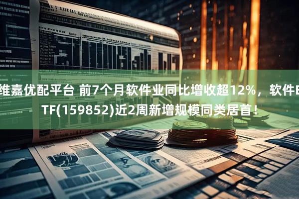 维嘉优配平台 前7个月软件业同比增收超12%，软件ETF(159852)近2周新增规模同类居首！